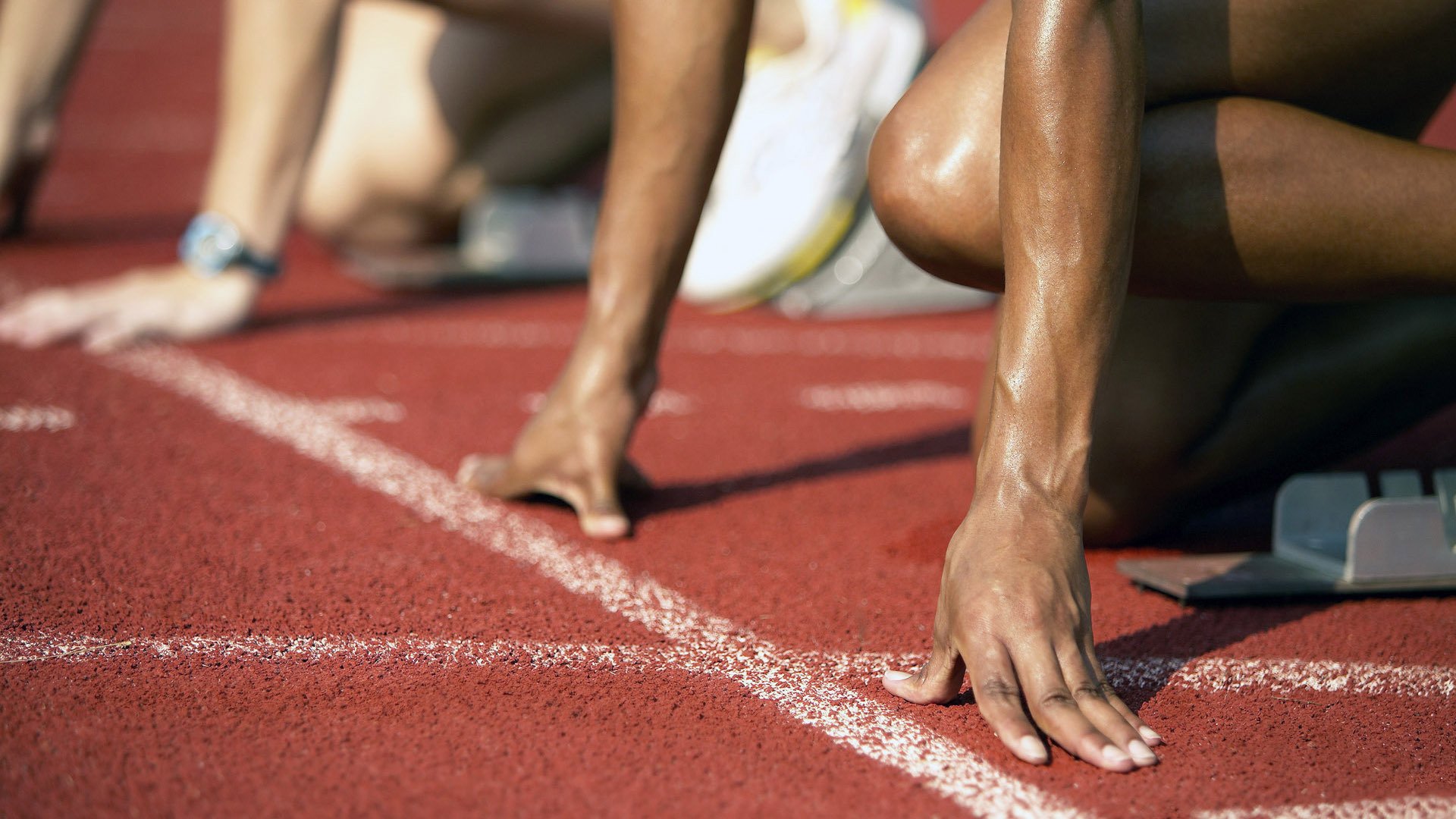 开云电竞app-美国马术协会推出马匹健康管理系统，提升马匹福利。，美国马术运动员